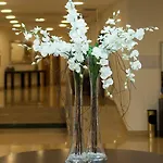 Cinquentenario & Conference Center فندق 4*