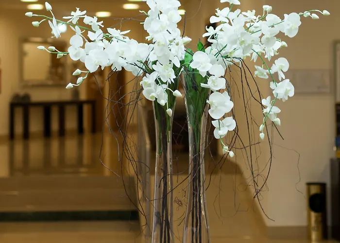 Cinquentenario & Conference Center فندق 4*