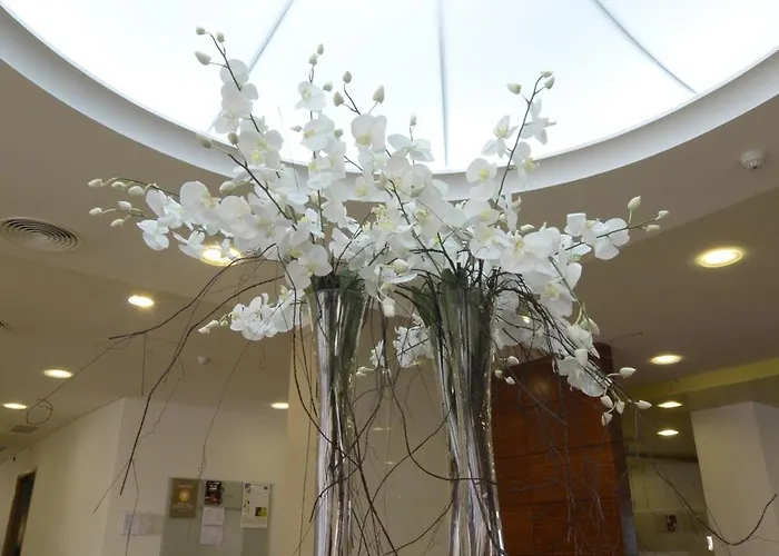 Hotel Cinquentenario&conference Center 4*